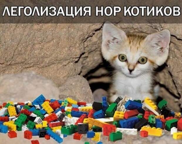 Нарезка забавных картинок Нарезка забавных картинок