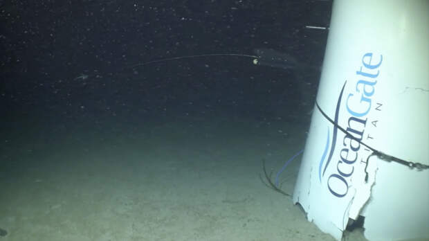 Семьям вернули останки погибших на батискафе «Титан»