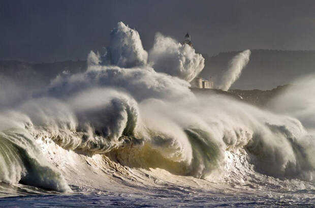 25 лучших фотографий National Geographic 2015