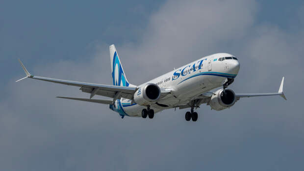 Пассажирка обвинила авиакомпанию в отношении к ее питомцу «как к грузу без ценности»