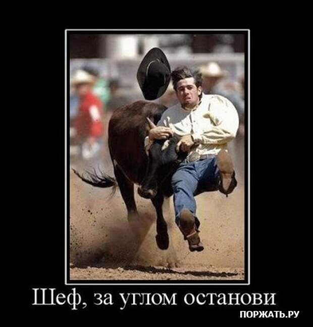 Демы (26 фото)