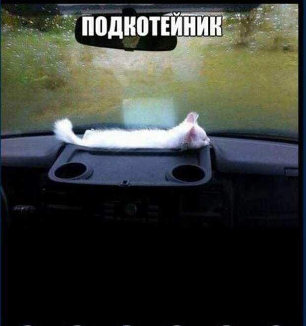 Подборка автоприколов. Часть 133 авто, автоприколы, приколы