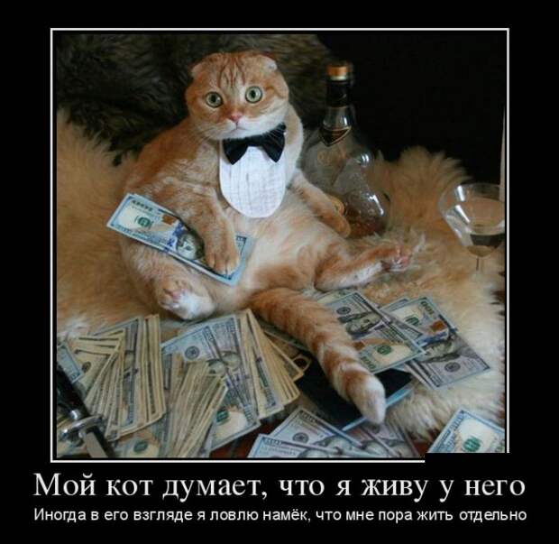 Демотиваторы (30 фото) Демотиваторы (30 фото)