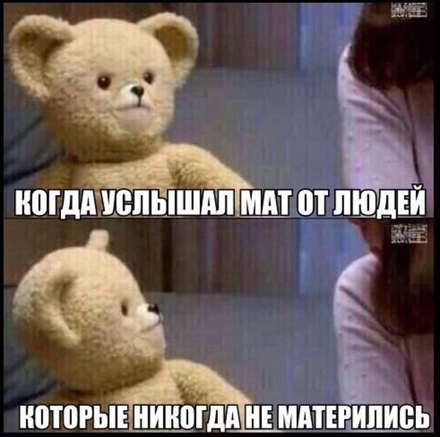 Смешные картинки с надписями прикол, юмор