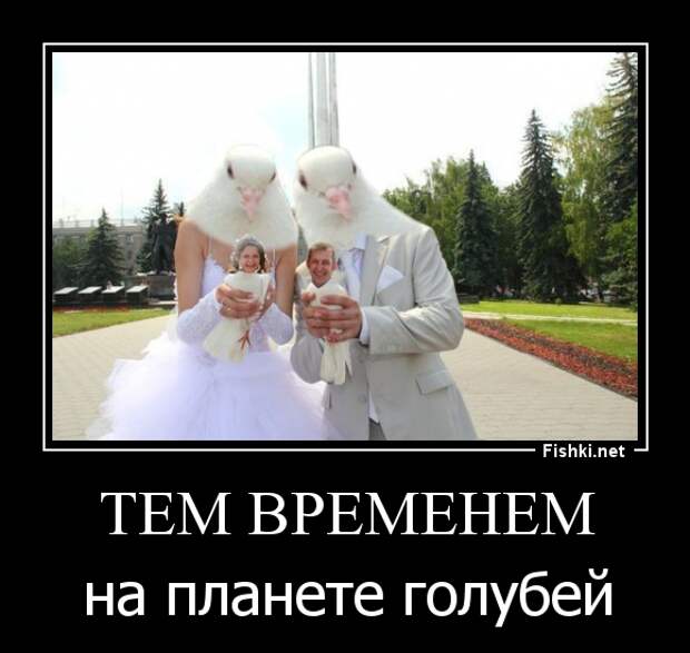 Демотиваторы демотиваторы, прикол, смех, юмор