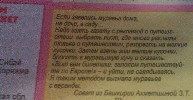 Маразмы в надписях