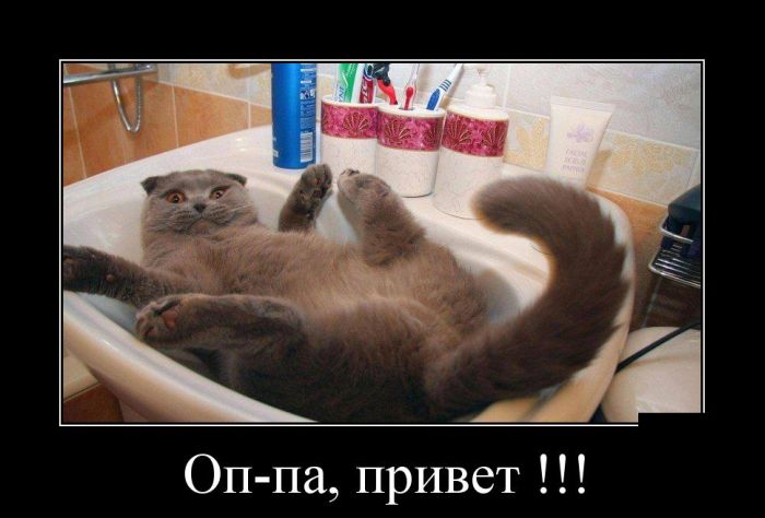 Демотиваторы (30 фото)