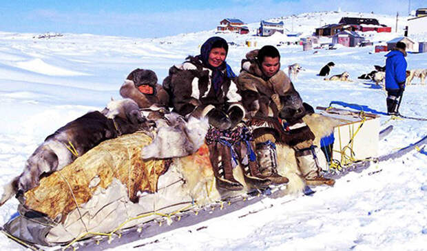 Канада, как ни странно, тоже принимала некоторое участие в холодной войне. В частности, правительство страны насильно переселило инуитов из Арктики, чтобы иметь возможность претендовать на эту часть света.
