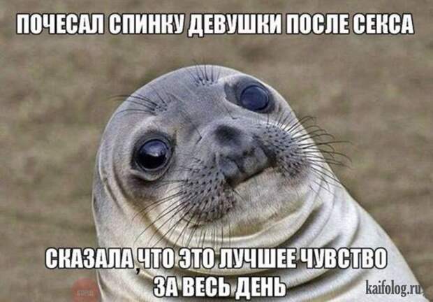 Жизнеутверждающие открытки (35 картинок)