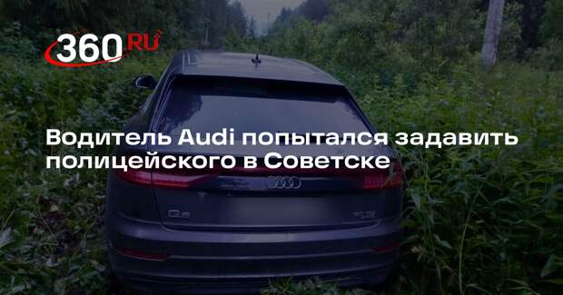 Водитель Audi попытался задавить полицейского в Советске