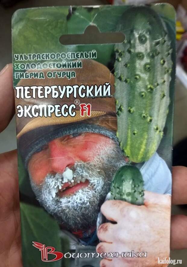 Прикольные семена (35 фото)