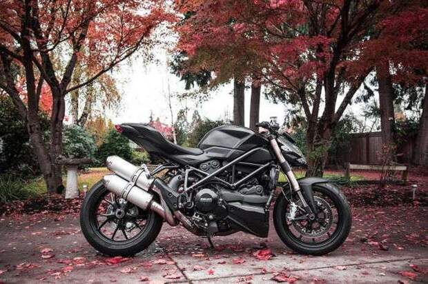 Пятничные фотоприколы