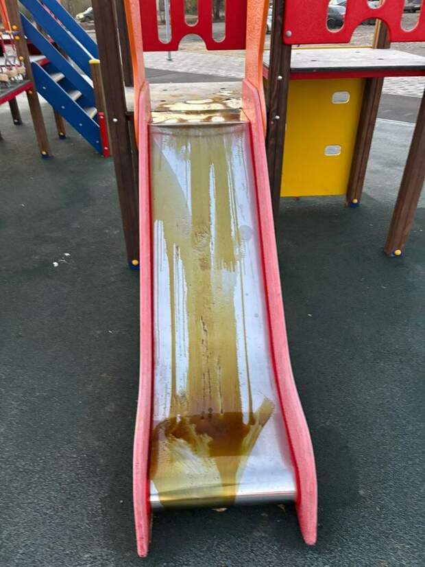 Фото: глава Славгорода Людмила Подгора