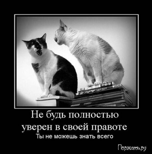 Демотиваторы прикольные и со смыслом, смешные и серьезные.