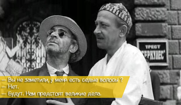 30 гениальных фраз из Золотого теленка 30 гениальных фраз из Золотого теленка золотой теленок, кино, фильм, фраза, цитата