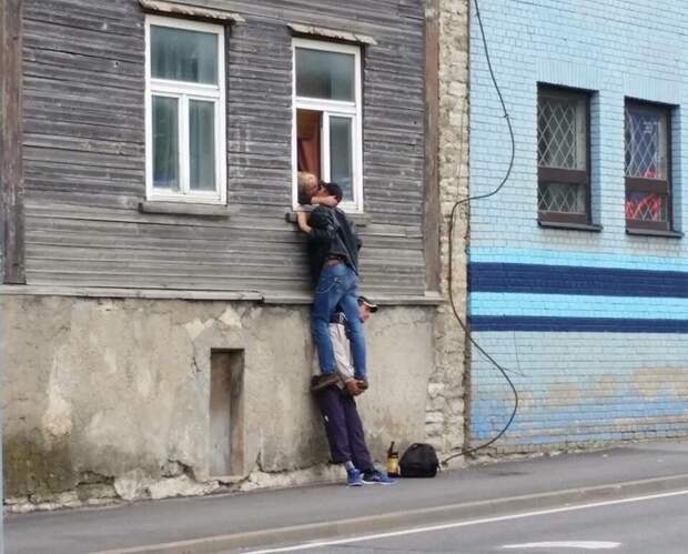 Всем бы таких помощников прикол, смешные, удачный кадр, юмор