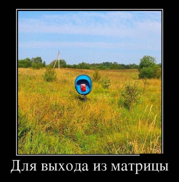 Демотиваторы (30 фото)