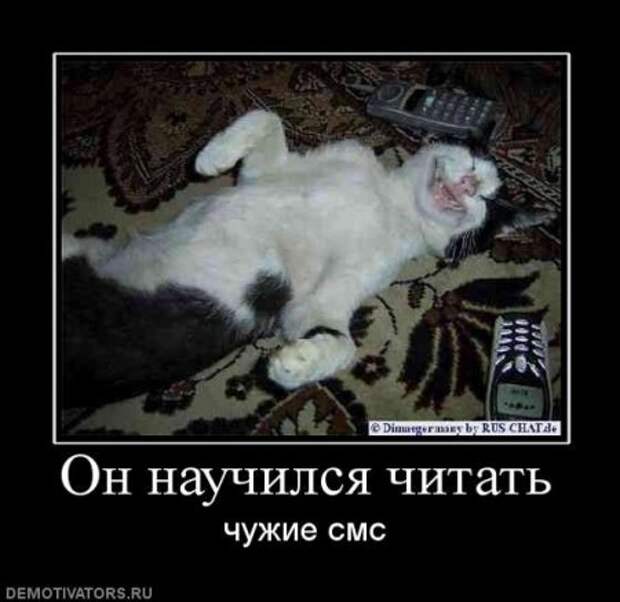 Ржачная порция демотиваторов, много приколов на сайте.