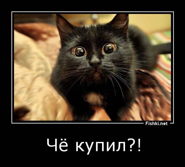 Демотиваторы демотиваторы, прикол, смех, юмор