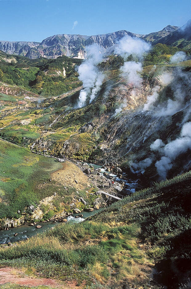 Долина гейзеров — уникальная природная экосистема.