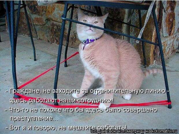 Мысли вслух :)
