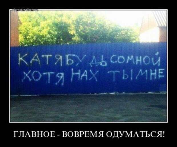 Подборка демотиваторов и просто смешных картинок девушки, демотиваторы, животные, коты, прикол, юмор