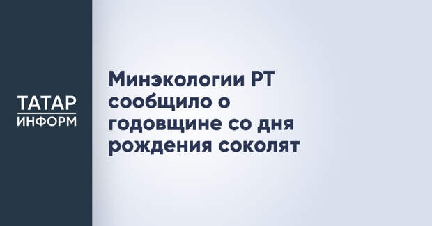 Минэкологии РТ сообщило о годовщине со дня рождения соколят Алга и Тимер