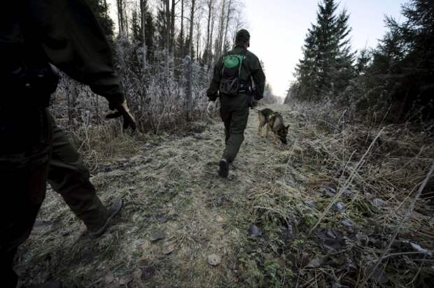 В Финляндии считают беспрецедентными действия России на границе