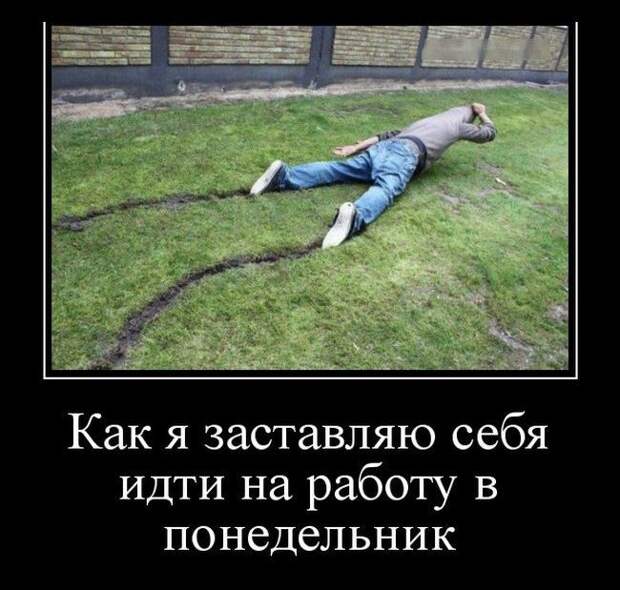 Подборка демотиваторов, которые поднимут вам настроение! демотиватор, юмор