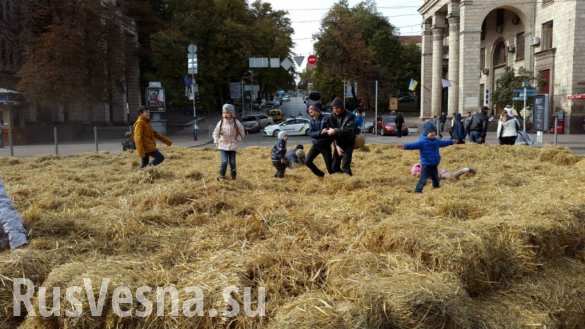 На Крещатике устроили сеновал: свинарником уже не удивишь | Русская весна