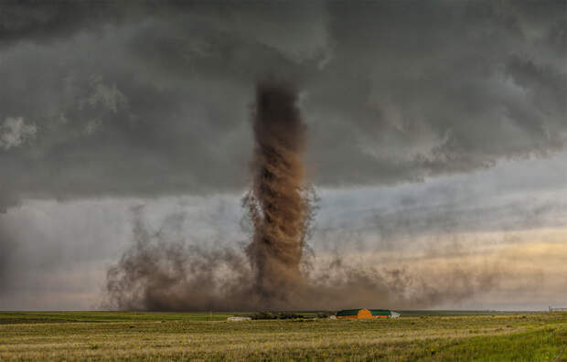 Победители конкурса от National Geographic в 2015 году