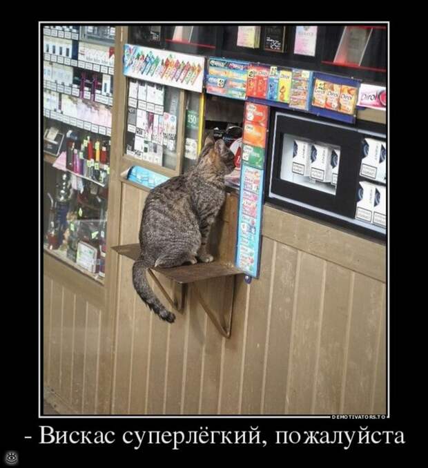 Теперь ты видел всё 30