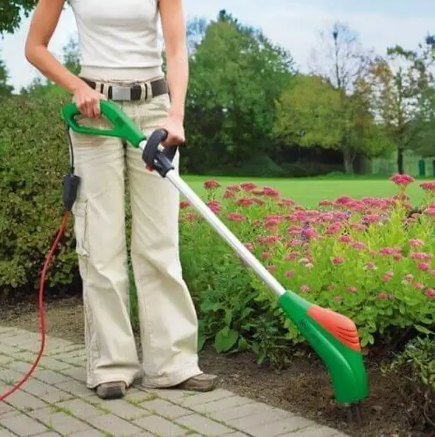 ЭЛЕКТРОТЯПКА: СТОИТ ЛИ ЕЕ КУПИТЬ ДЛЯ ДАЧИ?