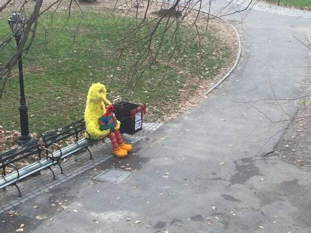 Юмор в фотографиях Юмор в фотографиях