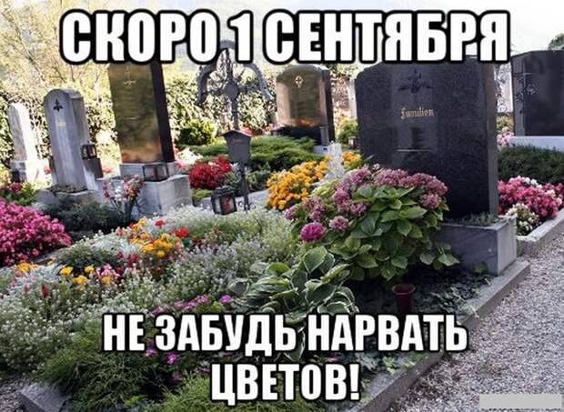 Черного юмора пост (53 фото)