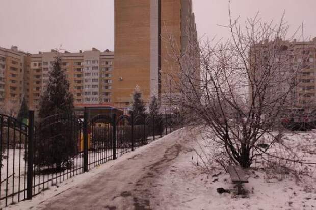 19 января в Тамбовской области прогнозируют сильные морозы