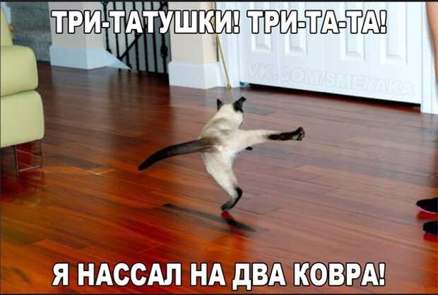 Улыбаемся Улыбаемся Смотреть всем, картинки, прикол, смешно, юмор