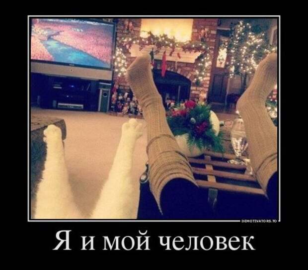 Пост новых демотиваторов для настроения