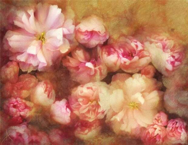 Alberto_Guillen_Flower_Paintings_9 (670x518, 271Kb)