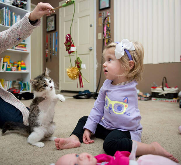 Эта двухлетняя девочка и крохотный котенок оба пережили страшные трагедии. девочка, инвалид, котенок, трогательное
