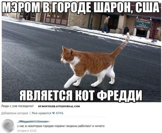 Смешные комментарии из социальных сетей комментарии, прикол, социальная сеть