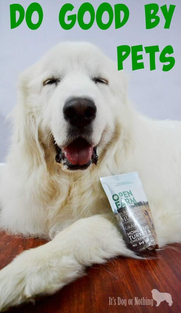 Do good by pets by feeding Open Farm's humane, healthy dog food.