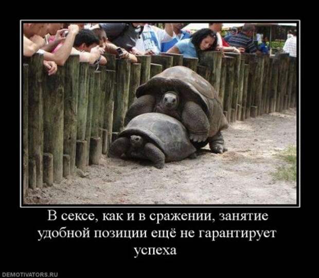 Демотиваторы, смешно, прикльные подписи и фотки.
