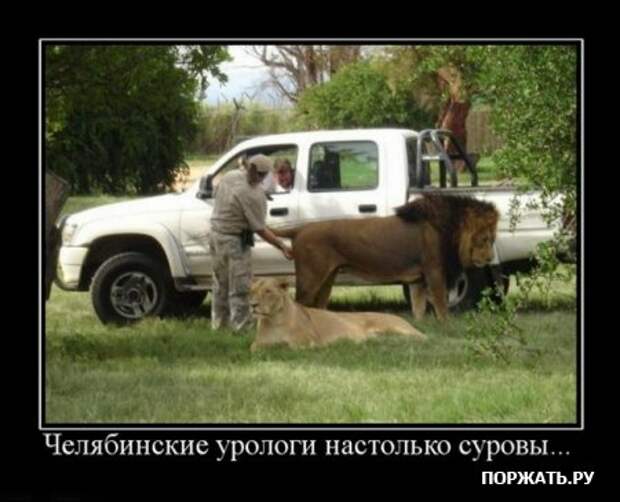 Прикольные демотиваторы, в подборке много новых.