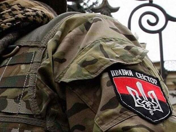 Боевики «Правого сектора» бежали из Закарпатья в Польшу Боевики «Правого сектора» бежали из Закарпатья в Польшу
