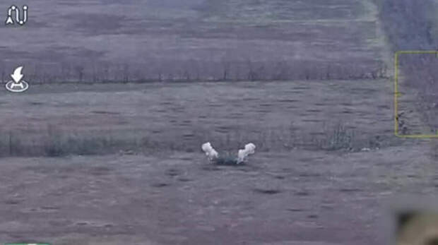 В Запорожской области расчёт гаубицы Д-30 группировки войск «Днепр» уничтожил боевиков ВСУ в опорном пункте