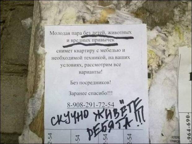Прикольные надписи и объявления надписи, объявления, юмор