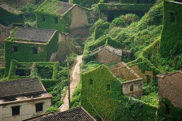 Жутко? Красиво! Жадный лес проглотил заброшенный китайский городок Зелены, в мире, город, китай, лес, природа