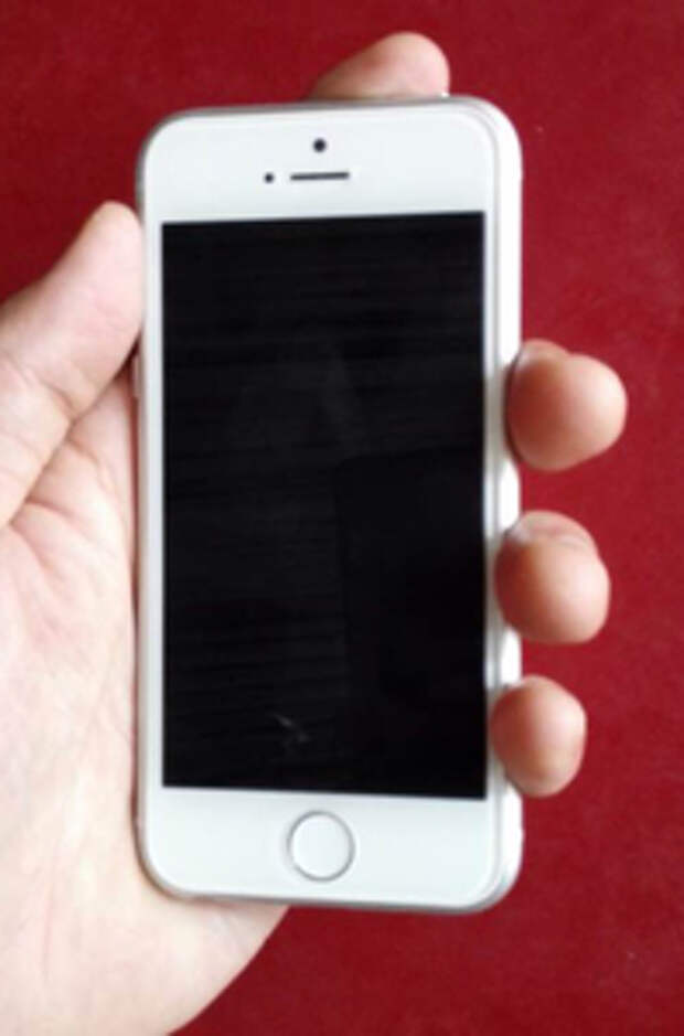 iPhone 6C 