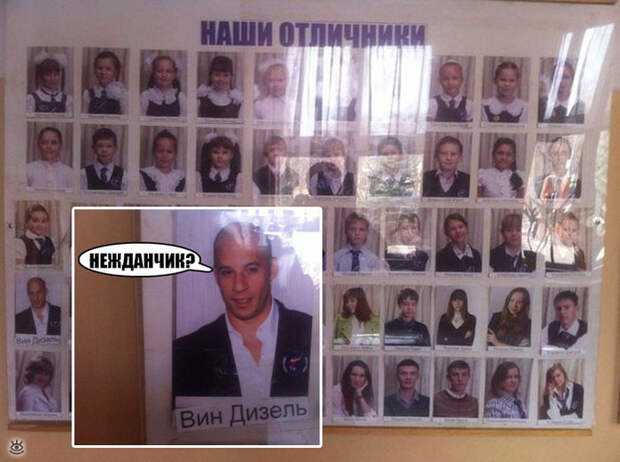 Повседневность в курьёзах 24